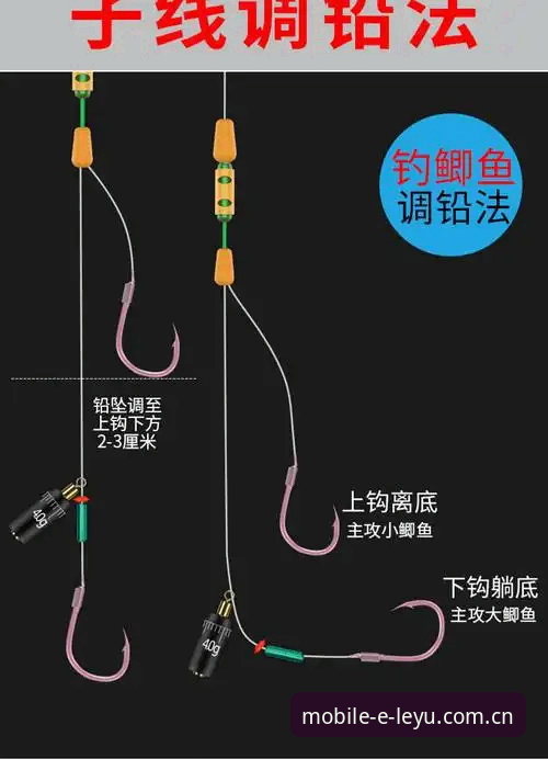 乐鱼体育靠谱吗教程最新动态：新手必看的平台安全与操作全指南